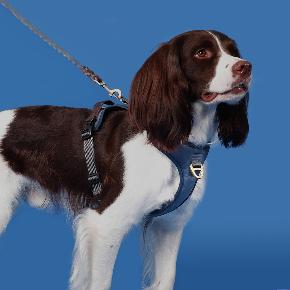 Didog No Pull PU Leather Dog Harness Adjustable Pet Sport Vest with Handle Quick Fit