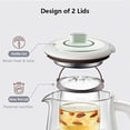 thumbnail image 4 of Bear YSH-C18S2 Health Pot, Electric Kettle Tea Maker with Infuser, Glass Kettle & Stew Pot, 16 Menus 1.8L 120V, Green, 4 of 6