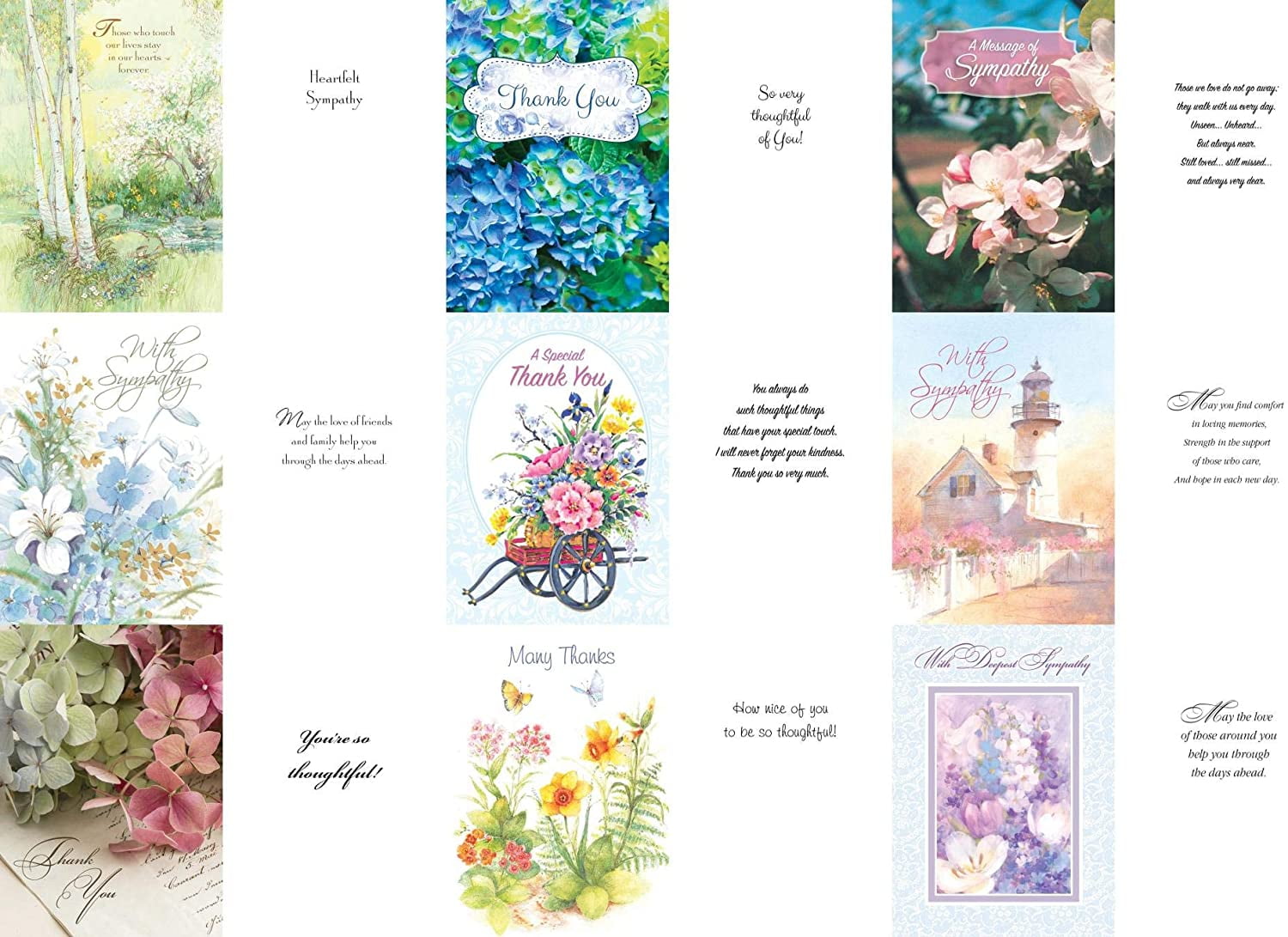 Variety Boxed Greeting Card Assortment by Fravessi 36 Card Pack + 36