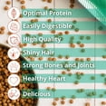 thumbnail image 5 of The Green Dog: Super Premium: Adult Regular Bite - 33 Lb Bag Dog Food - Plant Based Protein, Vegan Dry Pet Kibble, Gluten Free, Complete Nutrition, 5 of 15