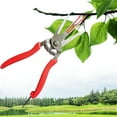 thumbnail image 5 of Gnmfd Garden Double-Edged Picking Scissors, High Carbon Steel Fruit Tree Pruning Shears for Flowers Herbs Harvest Gardening Tools for Outdoor Farm Use, 5 of 9