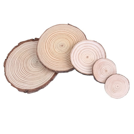 LABSERRON 5Pcs Small Wood Slices Assorted Color 20.00X20.00X2.00in for DIY Crafts and Holiday Decor