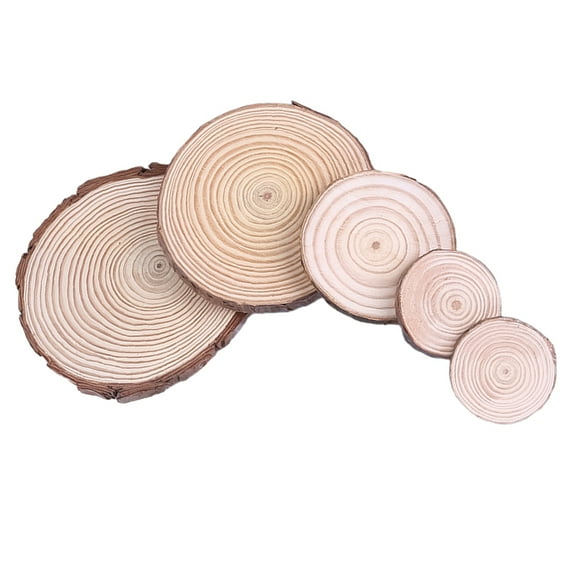 LABSERRON 5Pcs Small Wood Slices Assorted Color 20.00X20.00X2.00in for DIY Crafts and Holiday Decor