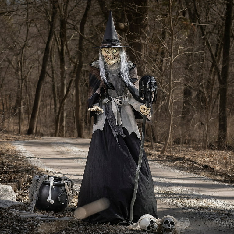 Seasonal Visions Animated Lunging Haggard Witch Halloween