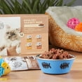 thumbnail image 2 of Special Kitty Chicken Dinner & Turkey & Giblets & Mixed Grill Cuts in Gravy Wet Cat Food Poultry Variety Pack, 3 oz Pouches, 12 Pack, 2 of 13