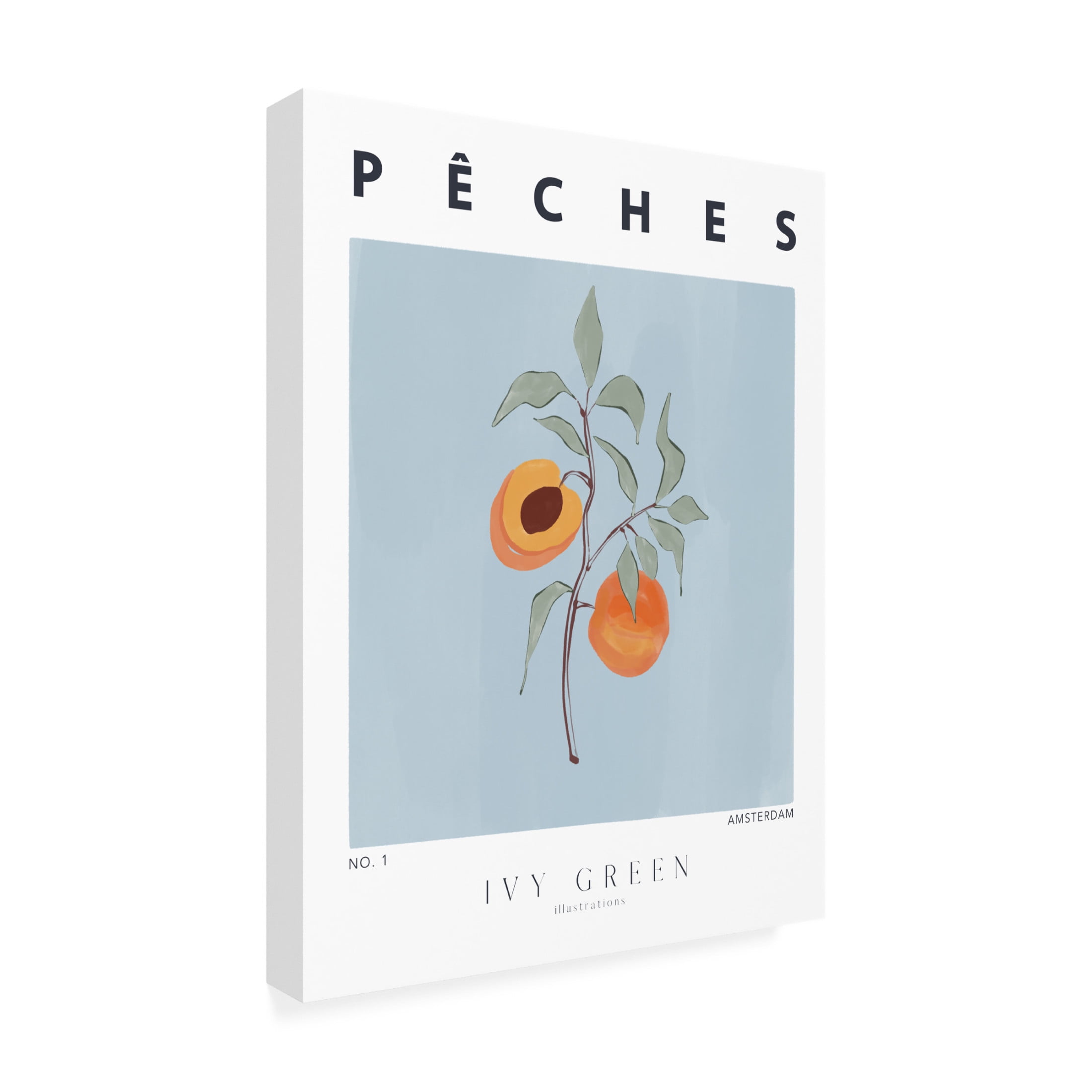 Trademark Fine Art Ivy Green Illustrations Peaches Canvas Wall Art