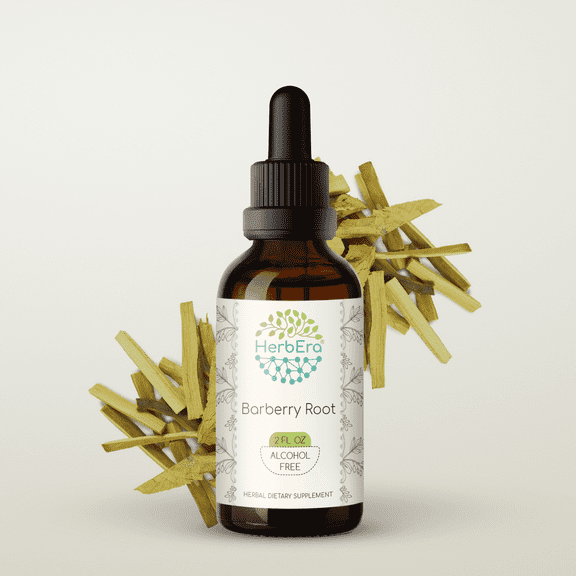 HerbEra Barberry Root Tincture, Herbal Dietary Supplement for Immune Support, Barberry (Berberis vulgaris) Dried Root Bark Extract, Natural, Alcohol-Free, Drops 2 oz
