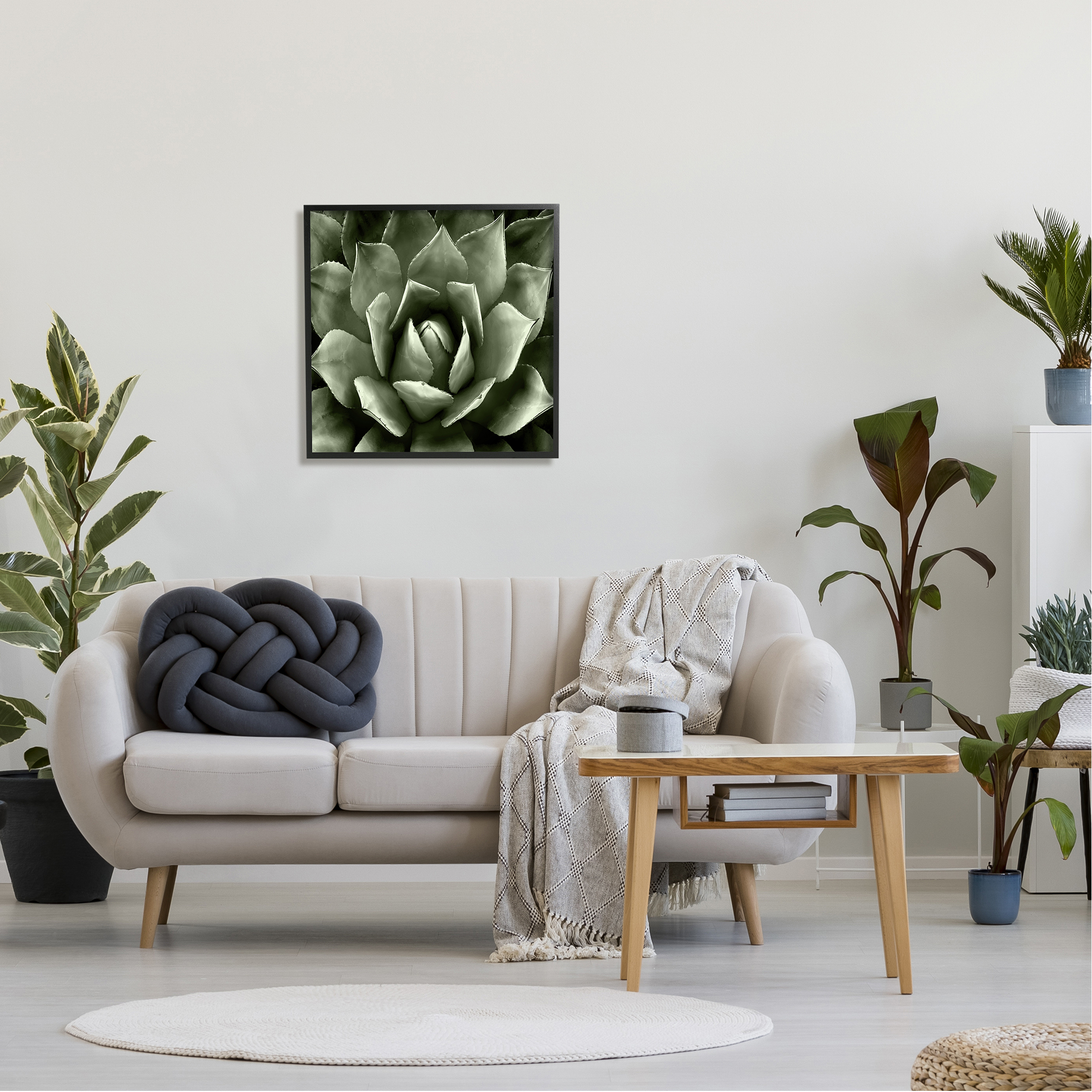 Stupell Industries Succulent Plant Close Up View Botanical & Floral Painting Black Framed Art Print Wall Art