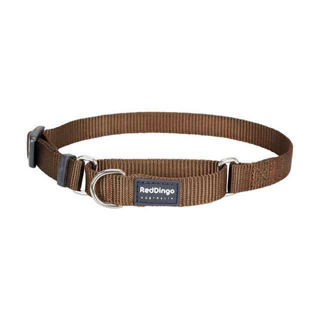 Dingo MC-ZZ-BR-15 Rouge Martingale Classique Marron - Petit