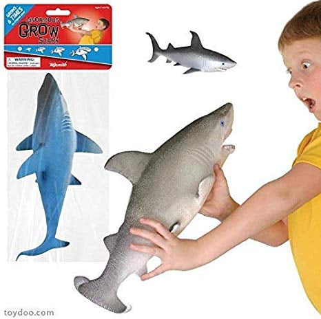 growing shark toy