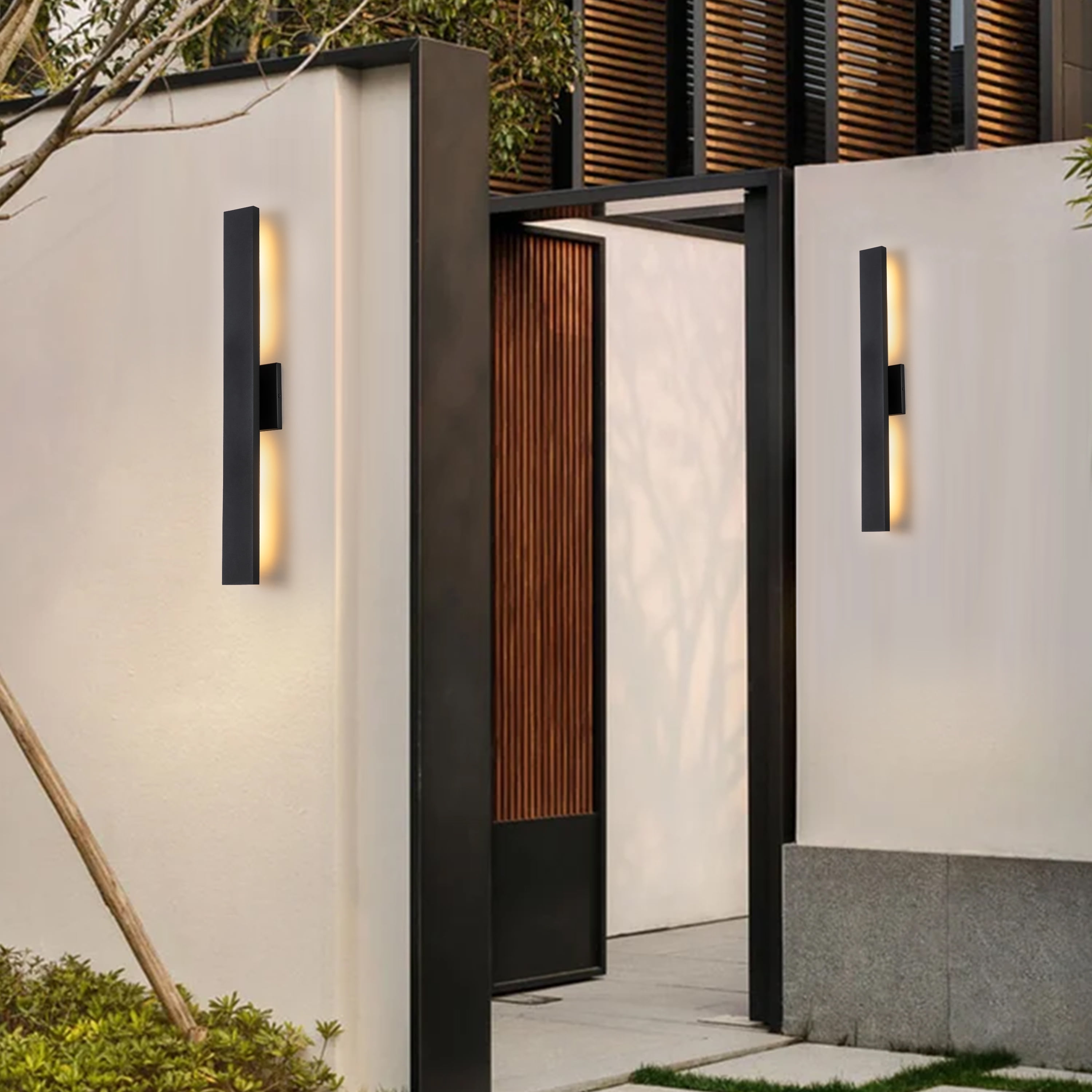 C Cattleya 2-Light Outdoor Wall Light Integrated LED Wall Sconce with Matte Black Finish