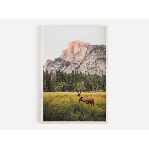 Wildlife Wall Art Western Country Rustic Print Buffalo Bull Elk Cowboy Horse Yellowstone Bison Canvas Painting Home Decor50 x 70 cm, unframed,01
