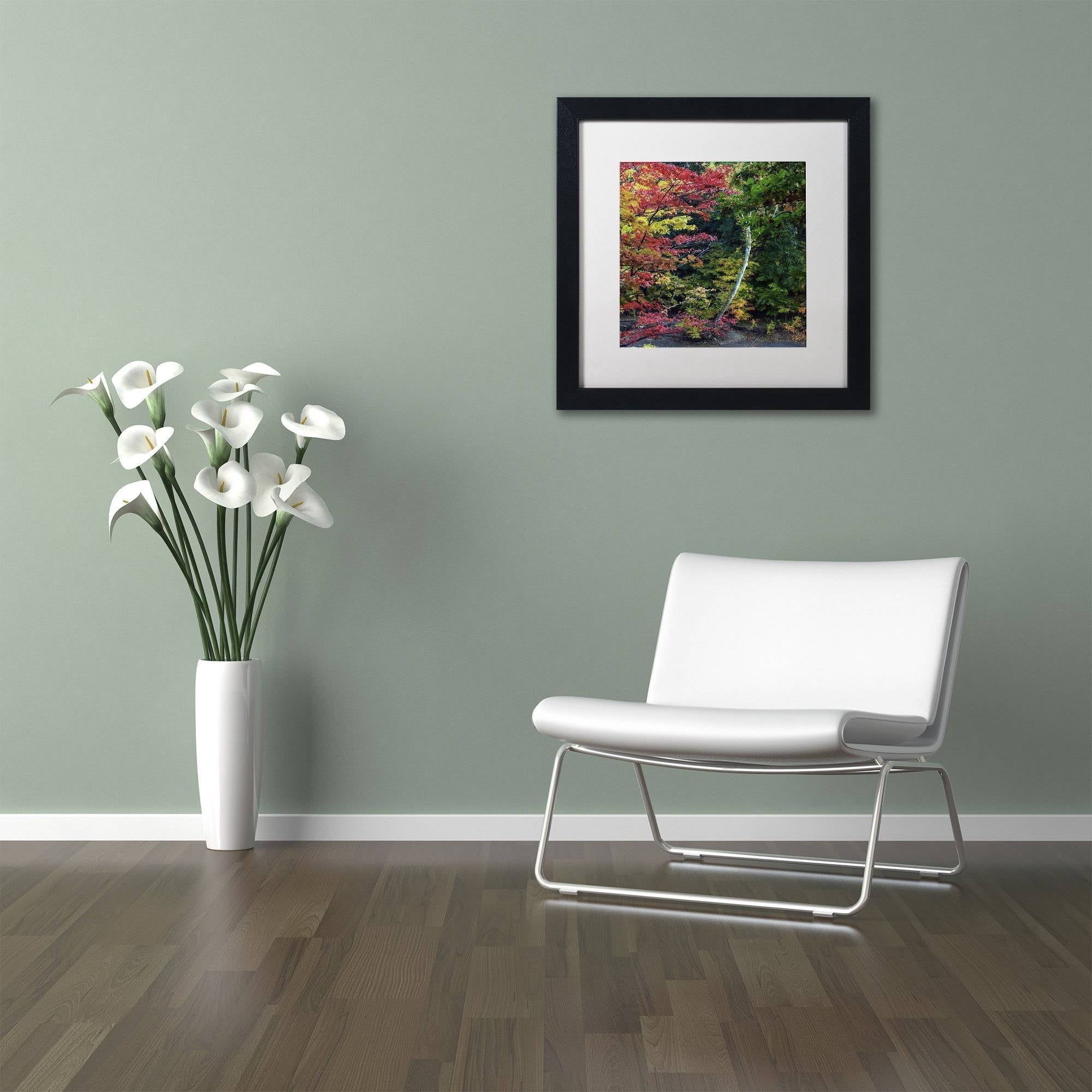 Trademark Fine Art "All the Colors of October in Ohio" Canvas Art by Kurt Shaffer, White Matte, Black Frame