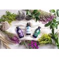 thumbnail image 4 of Woolzies 100% Pure Essential Oil, Lavender, 4 Oz, 4 of 4