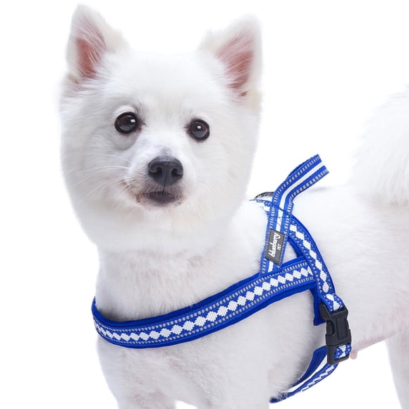 Blueberry Pet Soft & Comfy 3M Reflective Jacquard Padded Dog Harness, Chest Girth 21.5" - 27.5", Palace Blue, S/M, Adjustable Harnesses for Dogs
