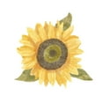 thumbnail image 2 of Bannarot 15x15 White Modern Wood Framed Museum Art Print Titled - Single  Sunflower I, 2 of 4