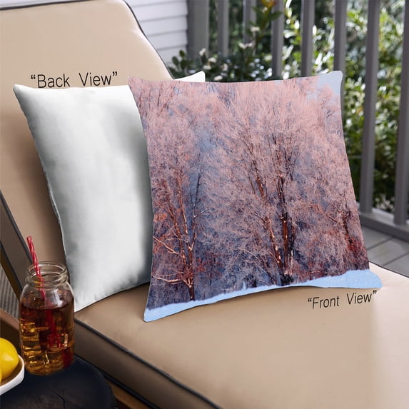 Ahgly Company State Wisconsin Outdoor Throw Pillow, 18 inch by 18 inch