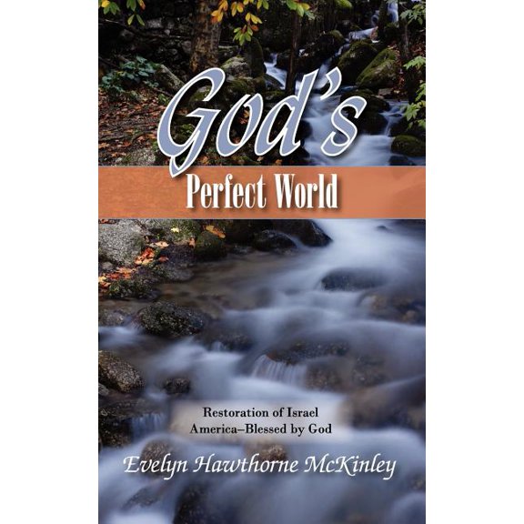 God's Perfect World, (Paperback)