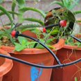 thumbnail image 4 of Irrigation System 25m, Irrigation Sets Micro Drip Irrigation Kit Automatic Sprinkler Drip Irrigation Garden Irrigation For Landscape, Flower Bed, Pati, 4 of 4