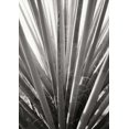 thumbnail image 2 of Bob Stefko 18x24 Gallery Wrapped Canvas Wall Art Titled - Torrey Yucca, 2 of 4