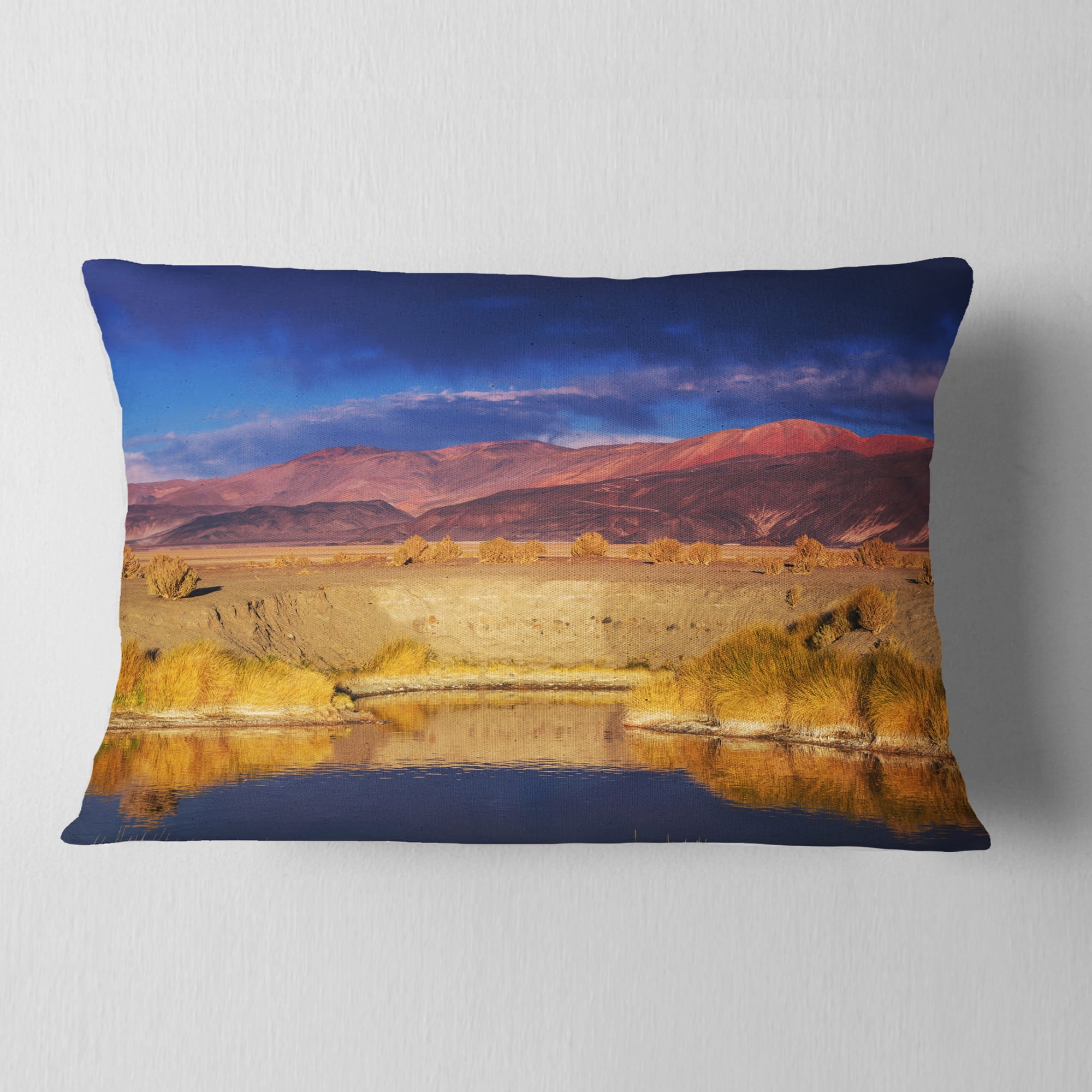 Designart Beautiful Northern Argentina View - African Landscape Printed Throw Pillow - 12x20