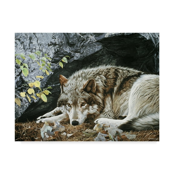 Trademark Fine Art 'Resting Spot Wolf' Canvas Art by Ron Parker
