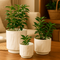 3-Piece White Stoneware Planter Pot Set with Soft Vertical Texture