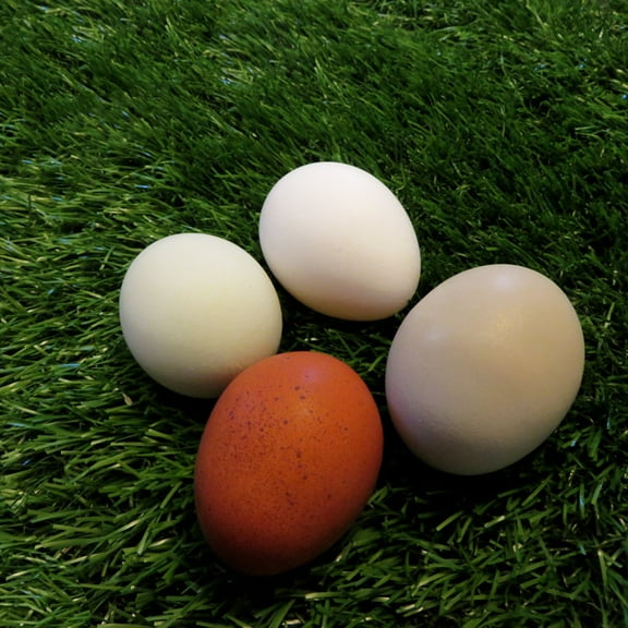 USA-Made Turf Nest Box Liners for Chickens