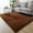 Coffee, variant on Super Soft Long Pile Indoor Carpet,31.5x78.74Inch,Comfortable Crystal Velvet Material,Non-Slip Bottom,Ideal for Bedroom,Living Room,Yoga and Computer Chair（Coffee）