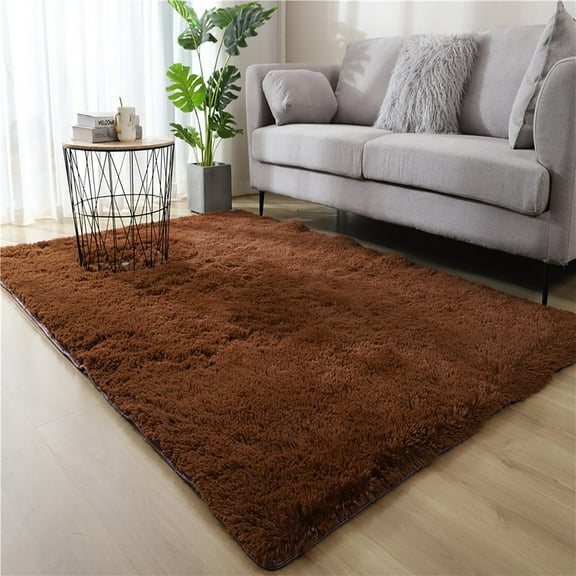 Tiitstoy Area Rugs Modern Home Decorate Soft Fluffy Carpets Fuzzy Rugs for Bedroom Kids Room, Cute Carpet Home Decor, Modern Indoor Fuzzy Plush Area Rugs, 31X78"