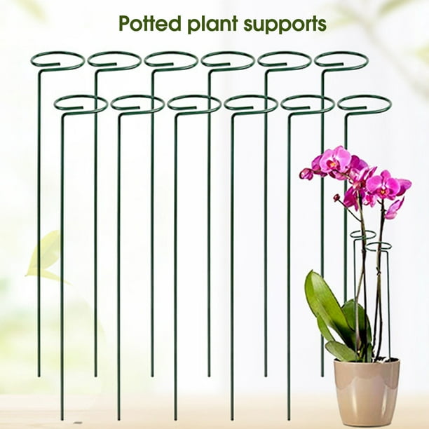 5Pcs Plant Stake Not-Easy-to Bend Anti-rust Smooth Finish Burrs-free Not  Harmful to Plants Floral Arrangements No Peculiar Smell Ring Metal Garden  Plant Supports Stake for Garden 