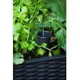 thumbnail image 5 of Keter Easy Grow Durable Resin Raised Garden Bed with Self-Watering and Drainage System, Rattan Anthracite Grey, 5 of 12