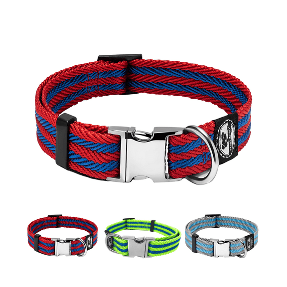 Regal Dog Products Collar with Metal Buckle & D Ring - Fits Small, Medium & Large