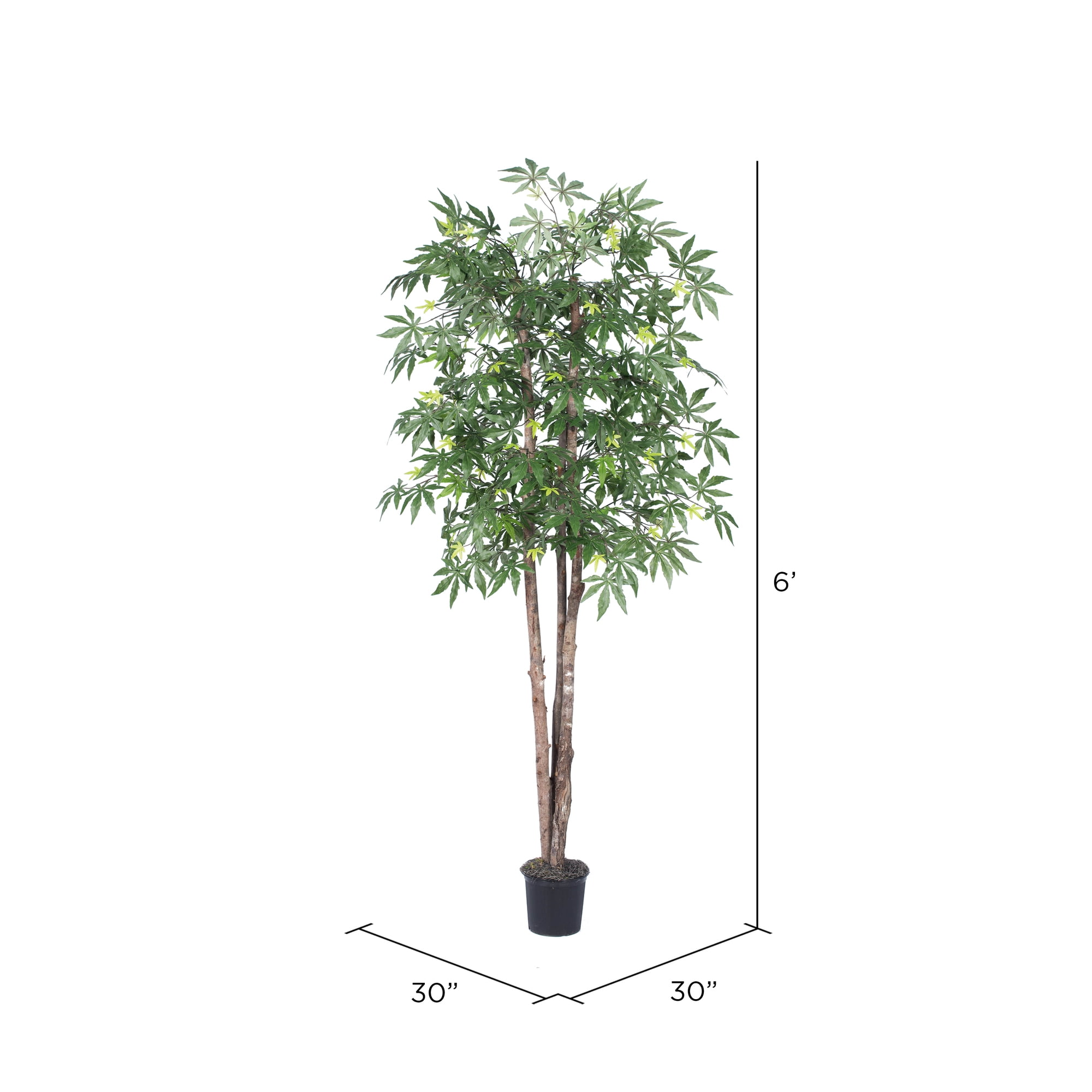 Vickerman Everyday 6' Artificial Japanese Maple Deluxe Tree In A Black Plastic Pot - Realistic Indoor Greenery Decor - Faux Potted Decoration For Home Or Office Accent