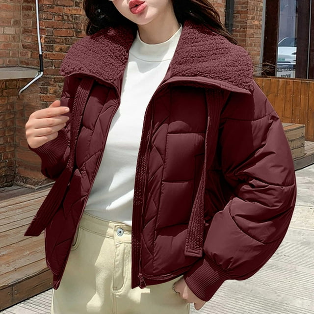 RKSTN Veste en Coton pour Femmes Veste Décontractée à Manches Longues avec Capuche Manteaux d'Hiver pour Femmes