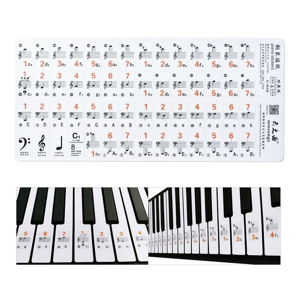 Autocollants pour clavier de piano 61 touches, étiquette à bande de notes, pour  piano grand/droit/
