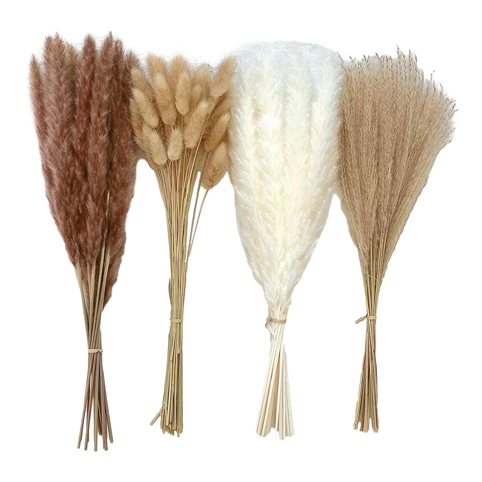 AMLESO Bulrush Roseau Herbe Boho Décor Rustique Plante Séchée pour Fête Mariage Ferme