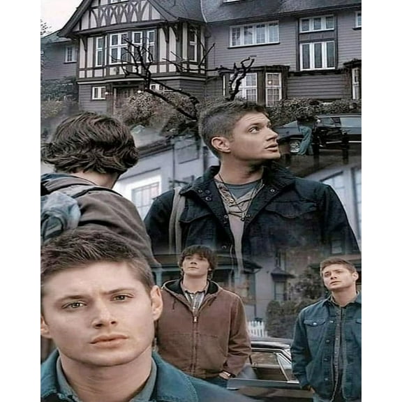 Paint by Numbers for Adults -Supernatural (21) - Drawing Paintwork DIY Paint by Number Kits Art Crafts for Home Wall Decor 16"x20"