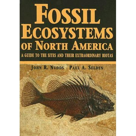 Fossil Ecosystems Of North America A Guide To The Sites