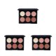 thumbnail image 1 of Seitruly Kit de contorno facial Práctico para principiantes Dulce regalo Corrector Mujeres Accesorios Cepillo Paleta de crema Tipo 2 Type1 NO1, 1 of 6