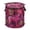 Cheetahs, variant on Pop-Up Collapsible Laundry Hamper With Zippered Lid Dual Handles 50L Cat Flowers