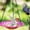 B-Pink, variant on HomeDM Bird Feeder Hanging Tray, Seed Tray for Bird Feeders/Bird Bath, Outdoor Garden Backyard Decorative Great for Attracting Pet Hummingbird Feeder