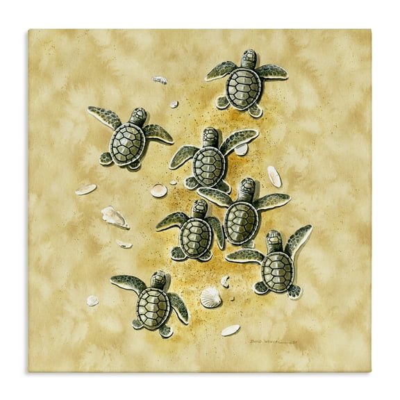 Stupell Industries Baby Sea Turtles Shore Animals Painting Wrapped Canvas Art Print Wall Art, 17 x 17