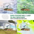 thumbnail image 2 of WLGJL Clear Acrylic Window Bird Feeder with 4 Strong Suction Cups and Detachable Seed Tray, 2 of 5