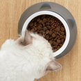 thumbnail image 3 of Cuenco de cerámica para gatos Cuenco para perros Cuenco inclinable para comida para gatos Protege la columna cervical contra vuelcos, 3 of 5