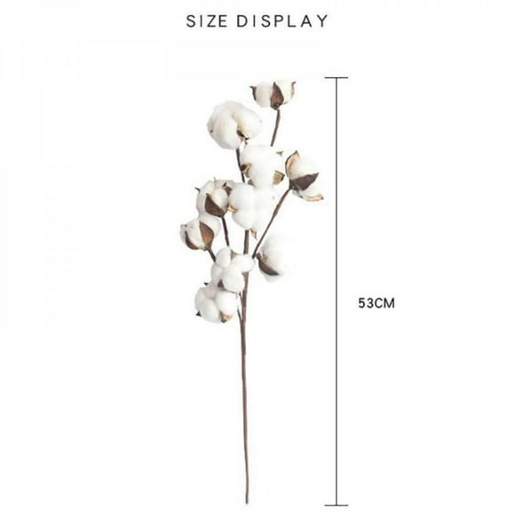 Big Clearance! DIY Cotton Stems Flower Natural Boll Branches Farmhouse Rustic Style Vase Display Filler Floral Wedding Centerpiece Decorations