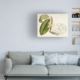 thumbnail image 3 of Curtis 'Tropical Foliage and Fruit VII' Canvas Art, 3 of 3