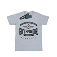 thumbnail image 1 of Harry Potter Boys Gryffindor Keeper T-Shirt, 1 of 5