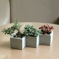 thumbnail image 2 of KYAIGUO Small Cement Plant Pots 14.4x2.8inch Flower Pots Simple Square Geometric Design, Classic and Beautiful for Office or Garden, Living Room, 2 of 5