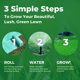 thumbnail image 4 of Tapete de Semillas de Césped GROWTRAX 4,5 m² Rollo Biodegradable, 4 of 8